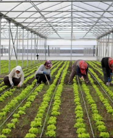 Yerel-Kalkinmaya-156-Milyar-Liralik-Dev-Yatirim-Paketi-featured