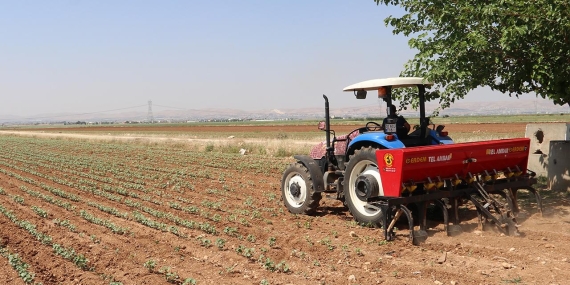 Gübre Tedarikinde Yeni Dönem: Amonyum Nitrat Yasağı Sona Erdi