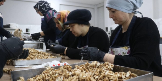 KOBİ’lere Dev Destek: KOSGEB 53 Bin İşletmeye Ulaşacak