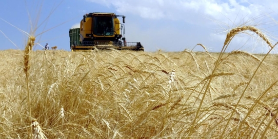 Tarım Bakanlığı’ndan Kırsala 65,5 Milyar TL’lik Dev Yatırım