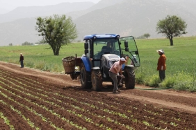 Ticaret-Bakanligi-Duyurdu-Ure-Gubresinde-Gumruk-Vergisi-Sifirlandi-featured