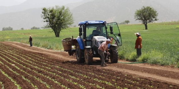 Ticaret Bakanlığı Duyurdu: Üre Gübresinde Gümrük Vergisi Sıfırlandı