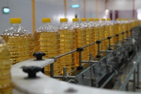 Aycicegi-Yagi-Ihracati-Ilk-Ceyrekte-Yuzde-172-Seviyesinde-Artti-featured