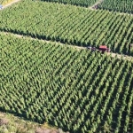 Bakan-Yumakli-Acikladi-128-Milyar-TL-Destek-Bugun-Odeniyor-featured