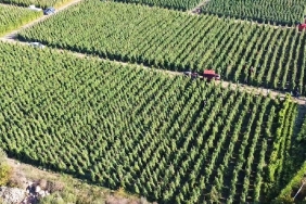 Bakan-Yumakli-Acikladi-128-Milyar-TL-Destek-Bugun-Odeniyor-featured