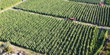 Bakan-Yumakli-Acikladi-128-Milyar-TL-Destek-Bugun-Odeniyor-featured