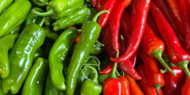 Biber-Ihracatinda-Bati-Akdeniz-Ruzgari-Payi-Yuzde-74e-Ulasti-featured