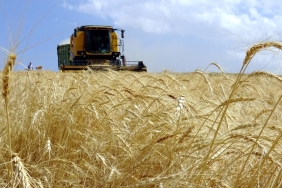 Caycuma8217da-dev-tarim-hamlesi-1000-kisiye-yeni-is-imkani-featured