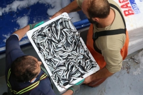 Denizlerde-Av-Yasagi-Basliyor-7-Aylik-Sezon-Sona-Erdi-featured