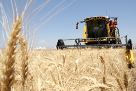 Guneydogu-Anadolu-Hububat-Ihracatinda-871-Milyon-Dolari-Yakaladi-featured