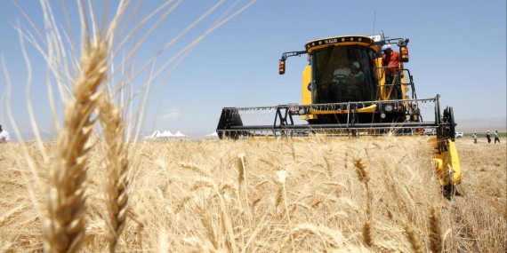 Güneydoğu Anadolu Hububat İhracatında 871 Milyon Doları Yakaladı