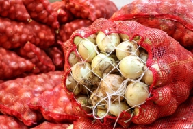 Kuru-Sogan-Ihracatinda-15-Katlik-Artis-Hedef-100-Milyon-Dolar-featured