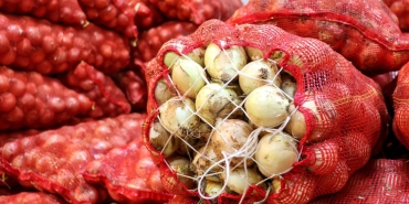 Kuru-Sogan-Ihracatinda-15-Katlik-Artis-Hedef-100-Milyon-Dolar-featured