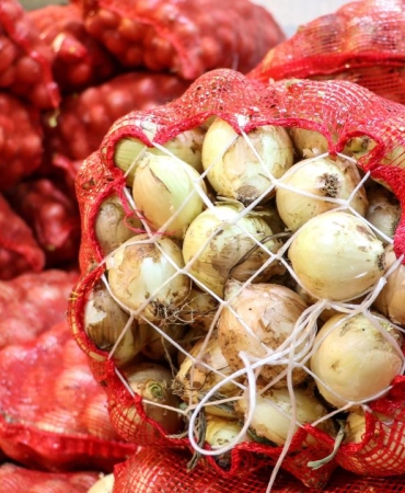 Kuru-Sogan-Ihracatinda-15-Katlik-Artis-Hedef-100-Milyon-Dolar-featured