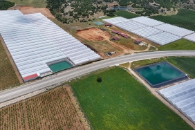 Tarimda-Dev-Atilim-Kirsal-Kalkinmaya-35-Milyon-Euro-Destek-featured