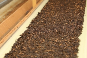 Turk-Cayina-Global-Ilgi-Ihracat-348-Milyon-Dolari-Yakaladi-featured